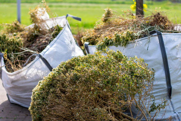 Yard Cleanup Services in Quincy, MI